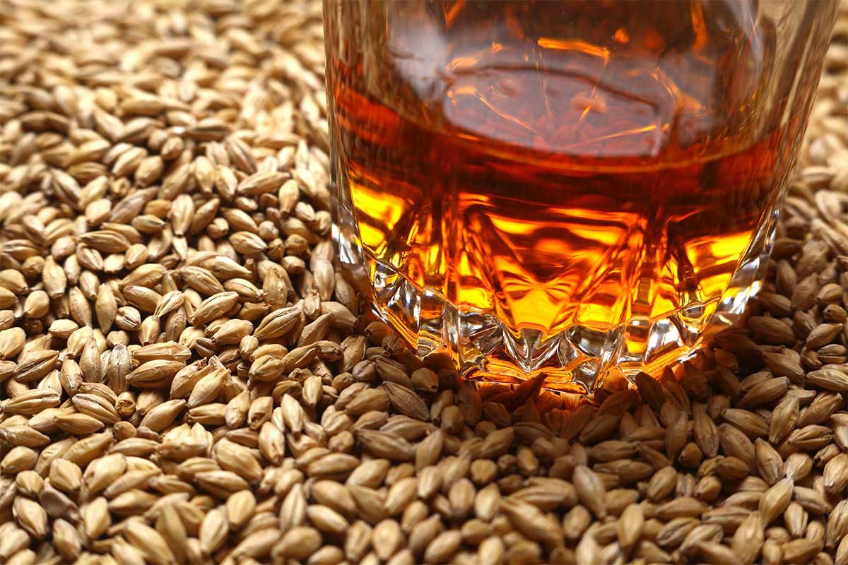 corn rye whiskey recipe